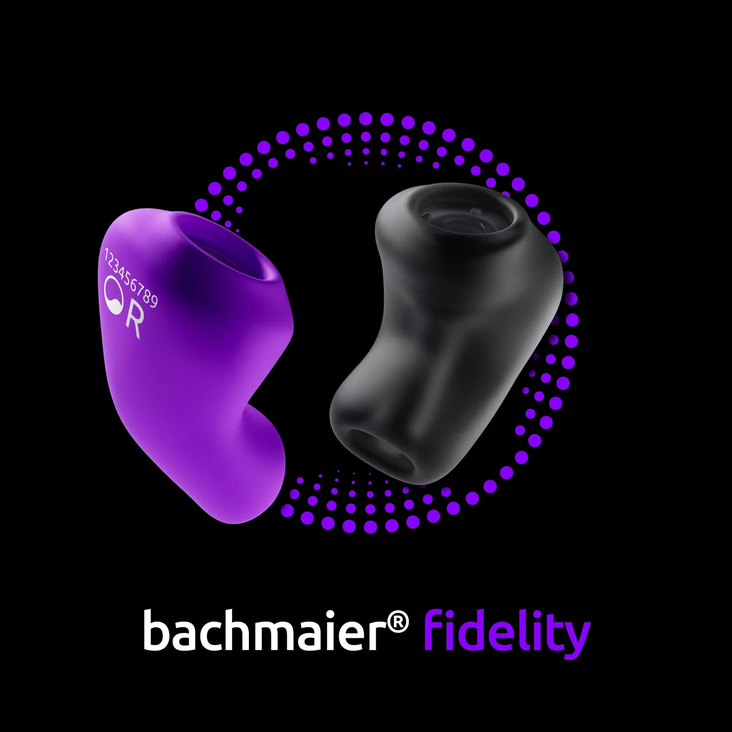 bachmaier fidelity